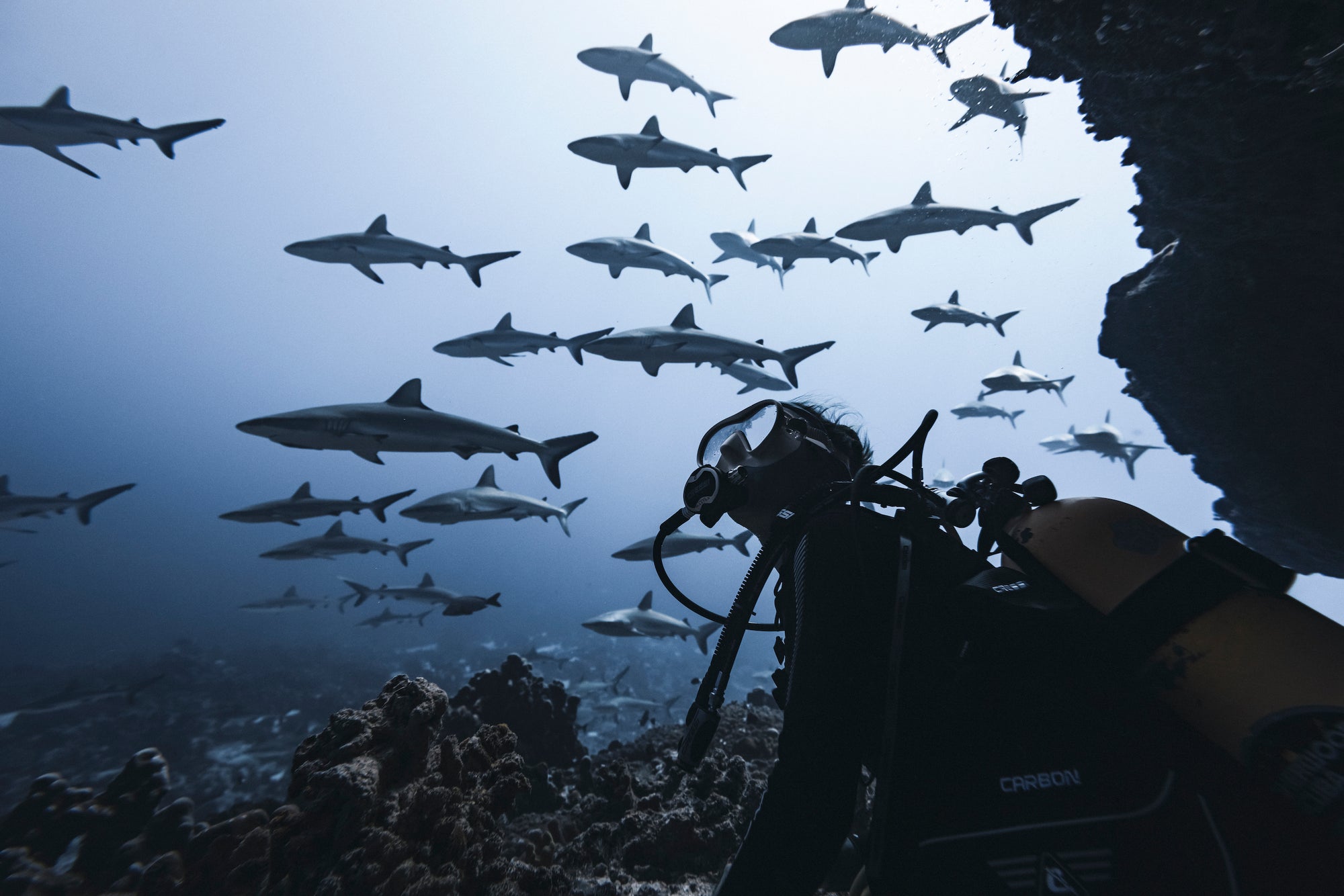 Elemental Reflections: Q&A With Videographer and Waterwoman Rachel Moore
