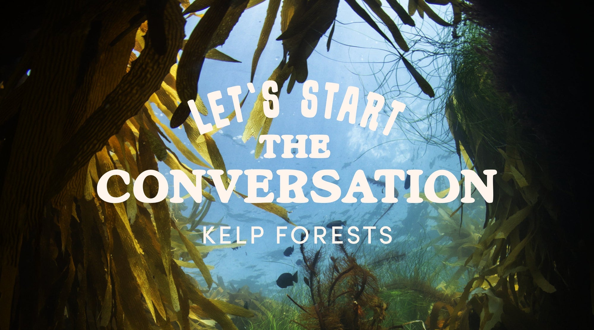 Let's start the conversation kelp forests