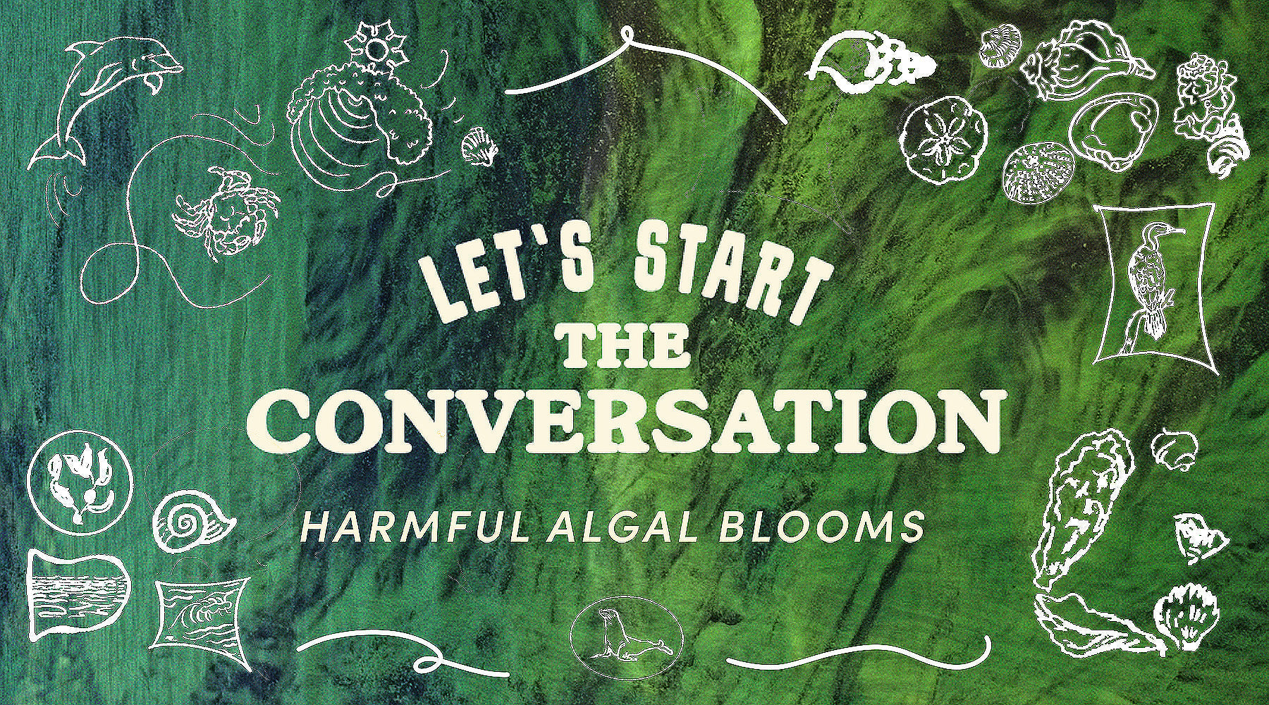 Let's Start the Conversation: Harmful Algal Blooms in California