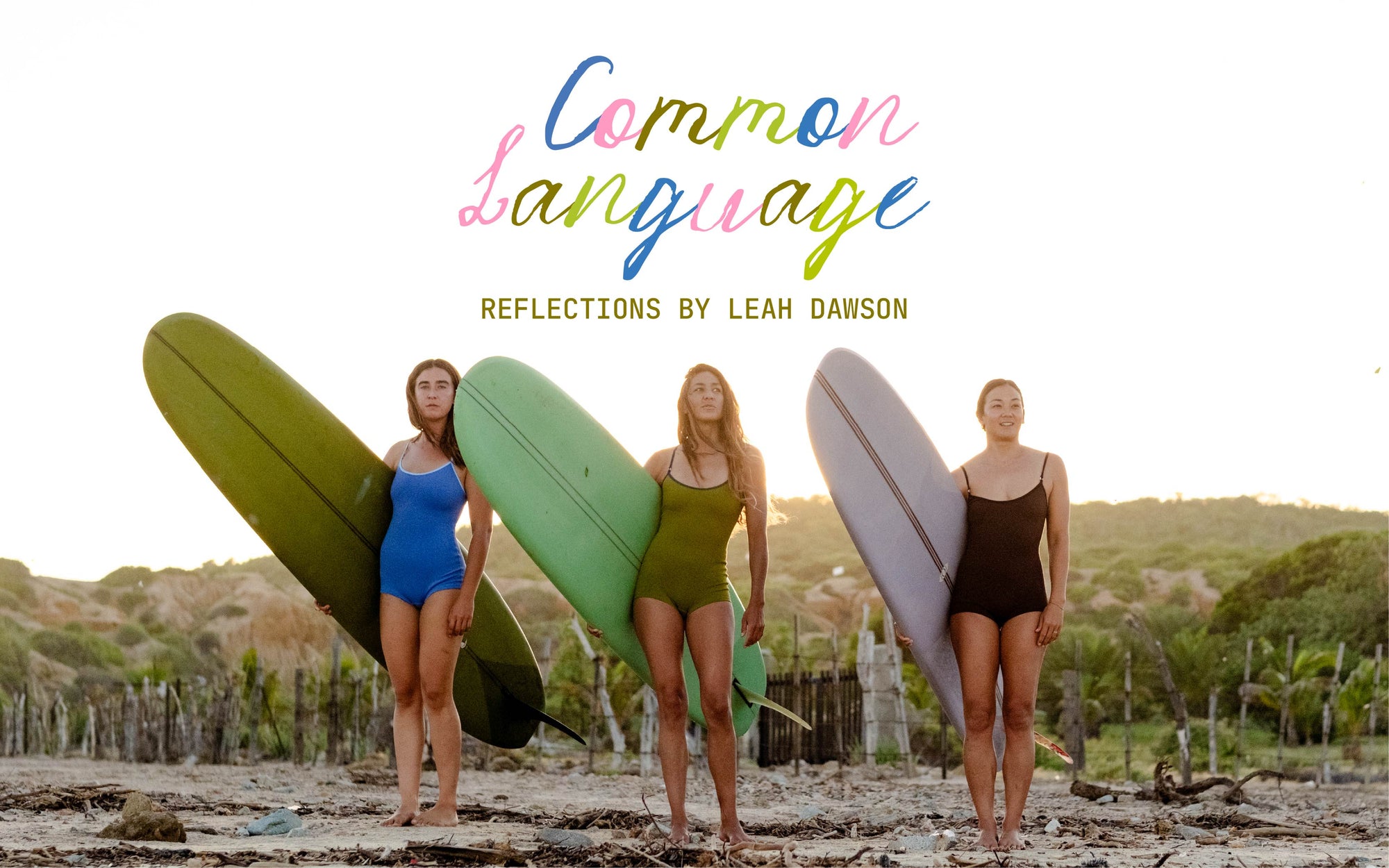 Common Language Surf film