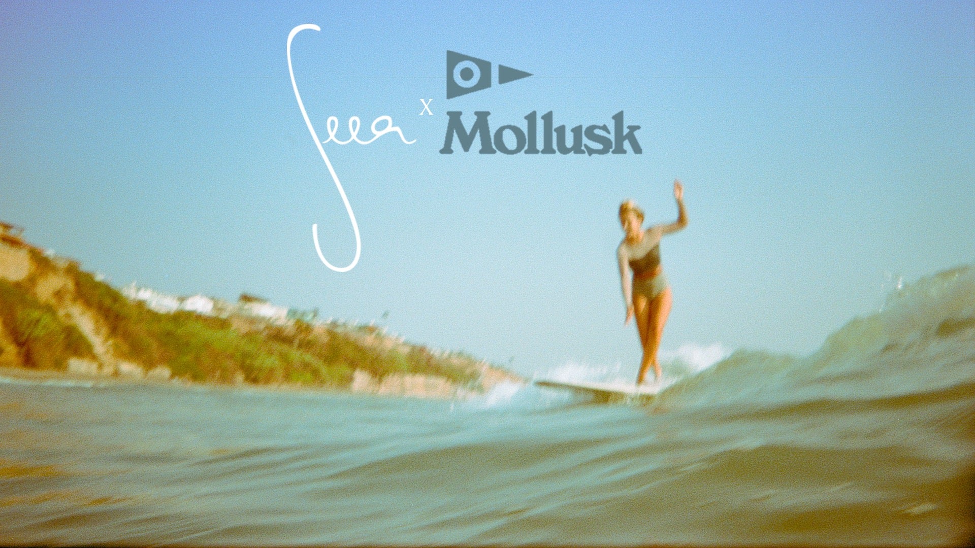 Hermosa Dusk | Seea + Mollusk Signature Suit
