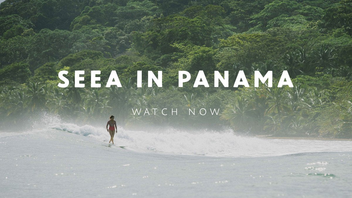 Video: Seea in Panama